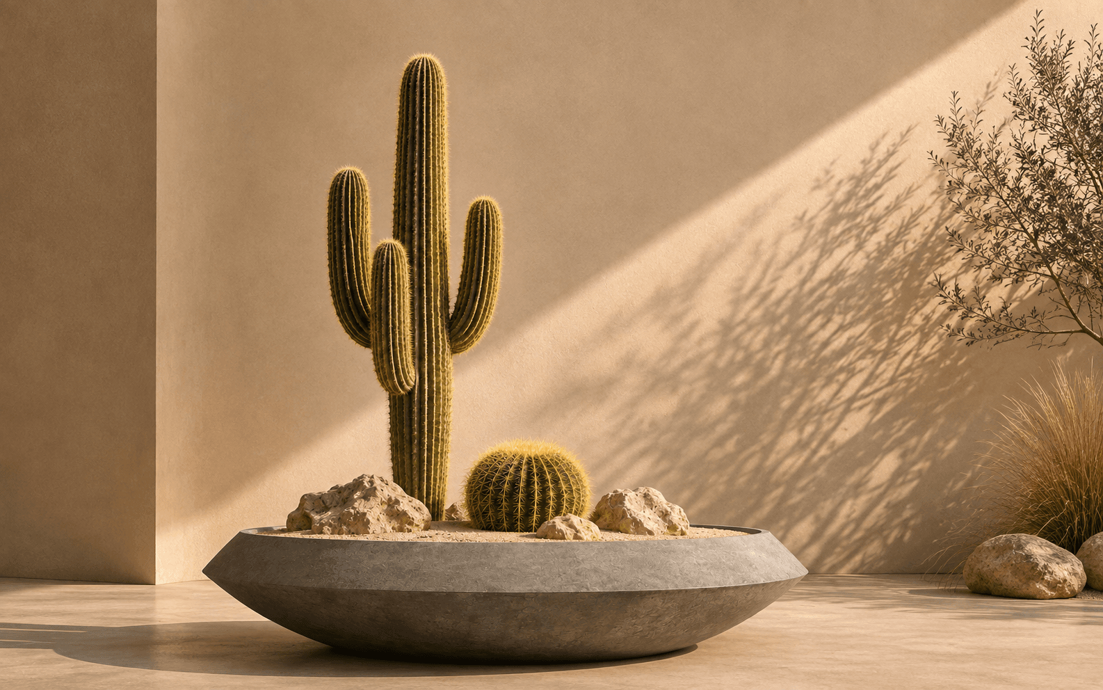 Desert Oasis — Rain Cosmos