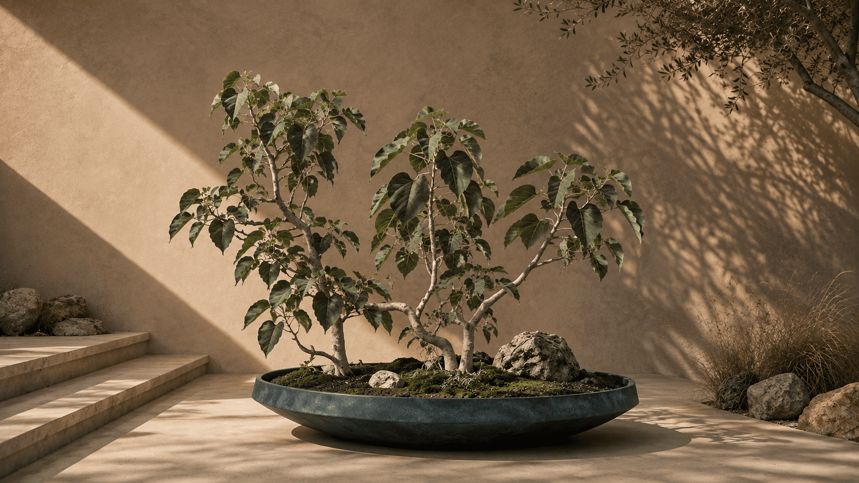 Ancient Canopy — Deep Cosmos